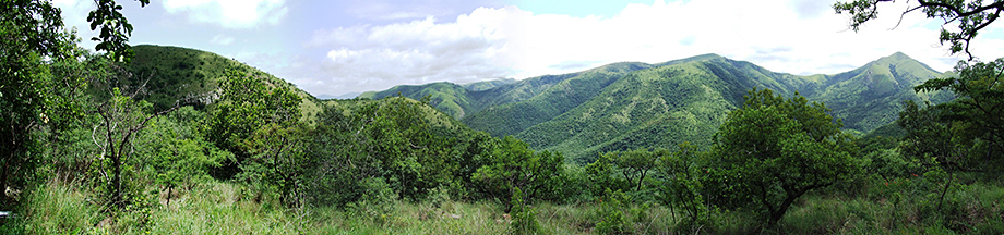 High Grove