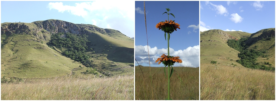 Mountainland-Nature-Reserve-_0029