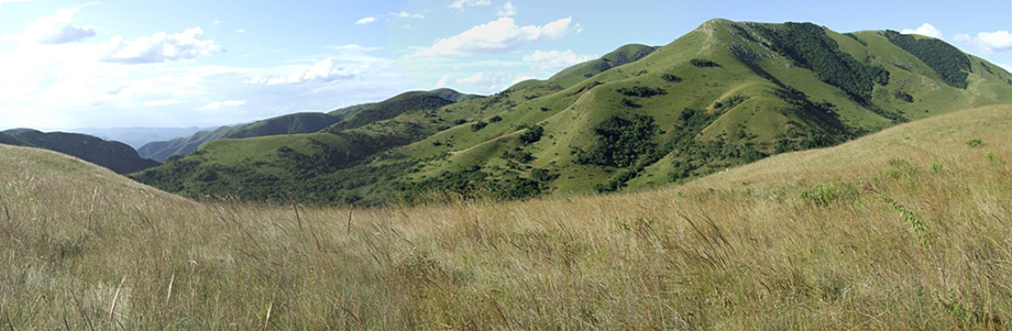 Pinnacle Plain