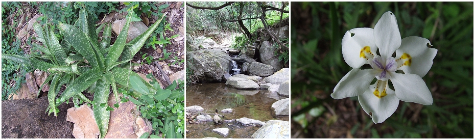TwoStreams_0006