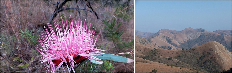 Mountainlands-Nature-Reserve_0101