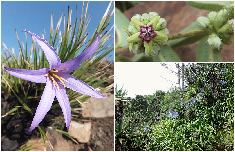 Mountainlands-Nature-Reserve_0111