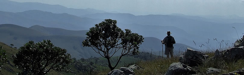 Mountainlands-Nature-Reserve_0123