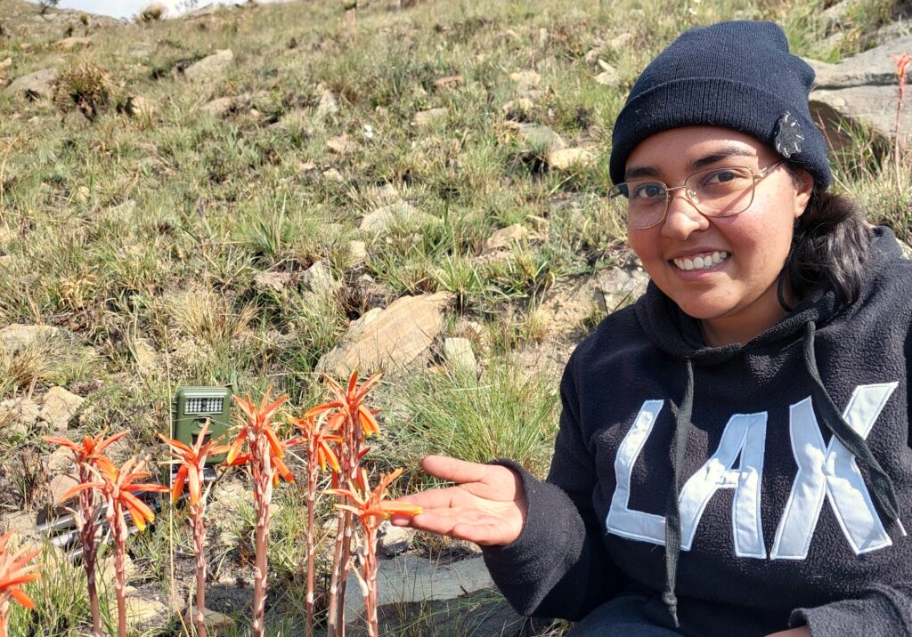 Towards a better understanding of threatened aloes and their pollinators