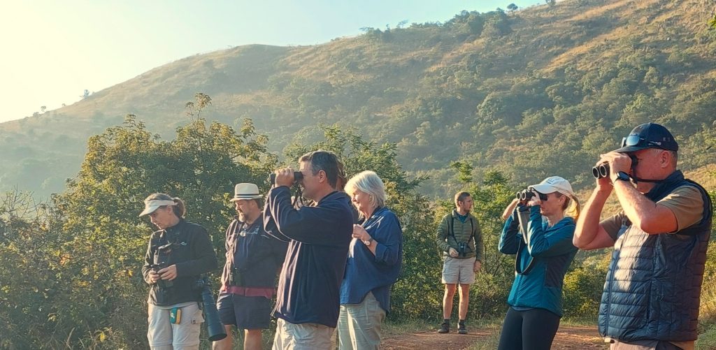 Birdwatching: A Window into Mountainlands’ Wonders