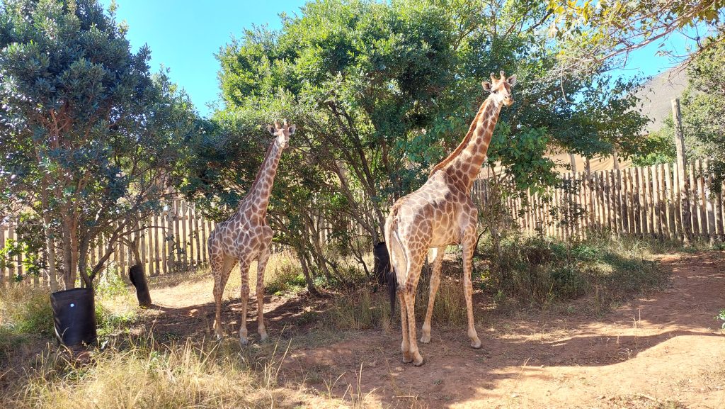 Strengthening conservation through strategic partnerships